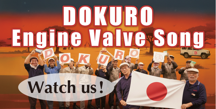 DOKURO engine valves Song