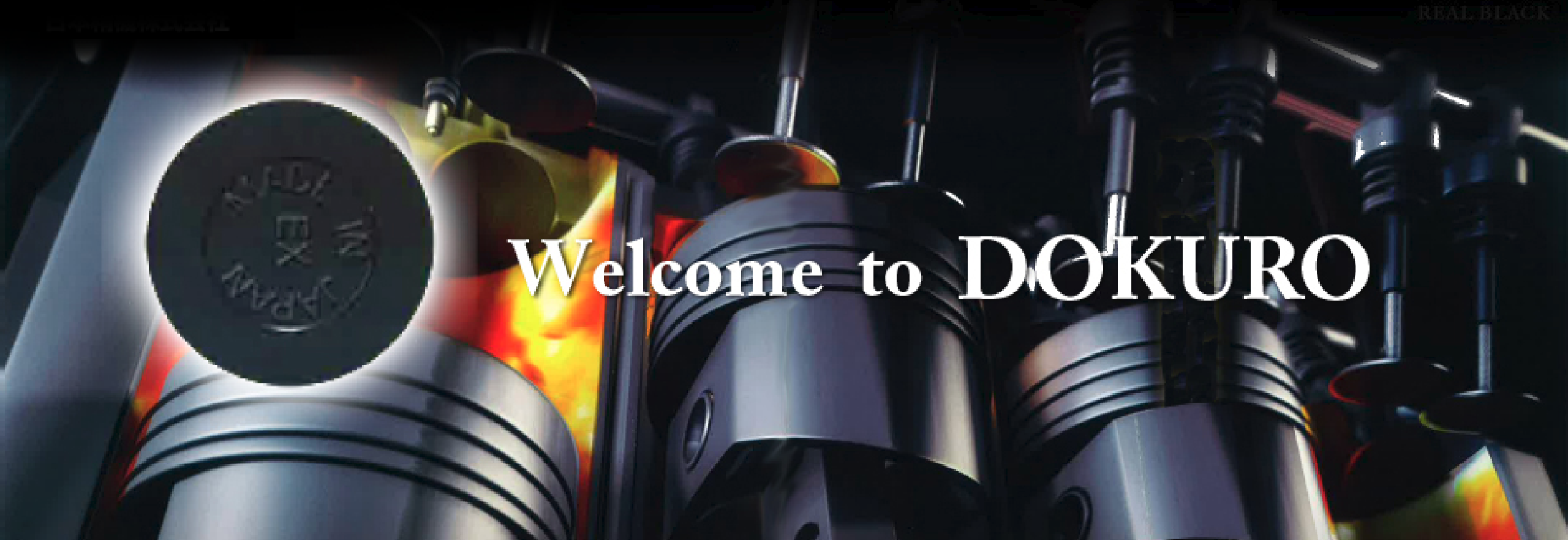 Welcome to DOKURO